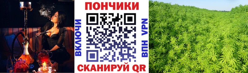 Канабис сатива  Купить  Бабушкин 